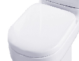 [32511402012] غطاء قاعده بلايا برجامون 